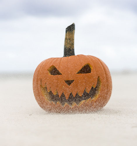 Auf Halloween stoßen wir jetzt mit Hallowine an.