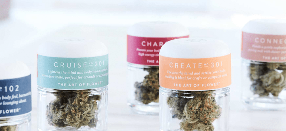 Canndescent verpackt Marihuana in einer schönen Box, sodass man glauben könnte, es sei ein High-End Luxusprodukt, dass man sich nie im Leben leisten könne.